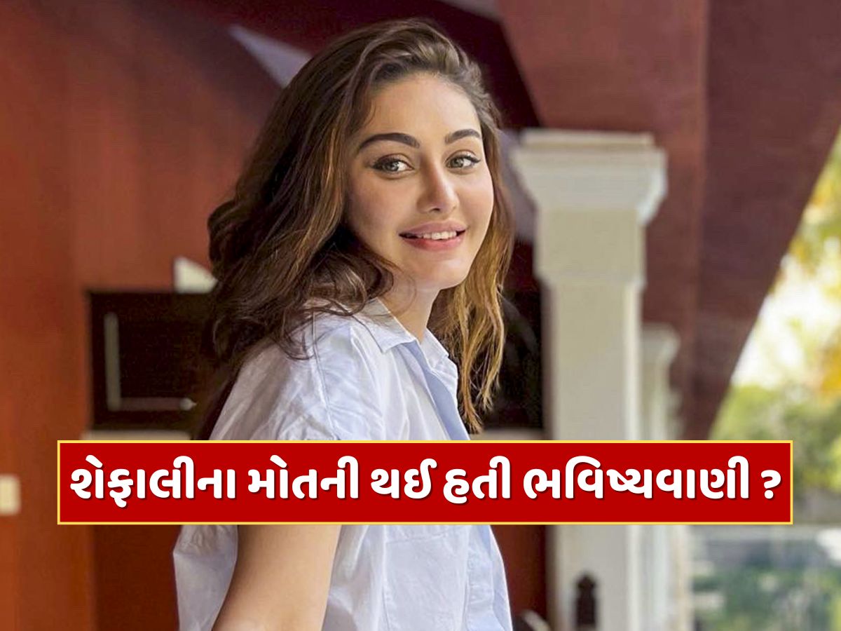 આ એક્ટરે કરી હતી શેફાલી જરીવાલાના મોતની ભવિષ્યવાણી ? અભિનેત્રીના અચાનક નિધન બાદ વાયરલ થયો Video આ એક્ટરે કરી હતી શેફાલી જરીવાલાના મોતની ભવિષ્યવાણી ? અભિનેત્રીના અચાનક નિધન બાદ વાયરલ થયો Video