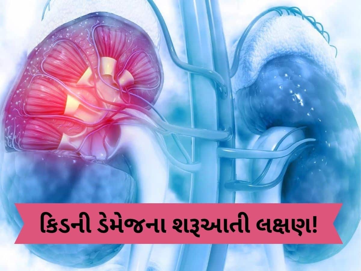 આ લક્ષણોને નજરઅંદાજ ન કરો, કિડની ડેમેજની હોઈ શકે છે શરૂઆત