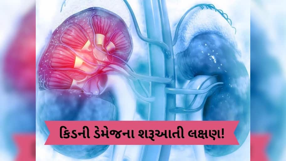 આ લક્ષણોને નજરઅંદાજ ન કરો, કિડની ડેમેજની હોઈ શકે છે શરૂઆત
