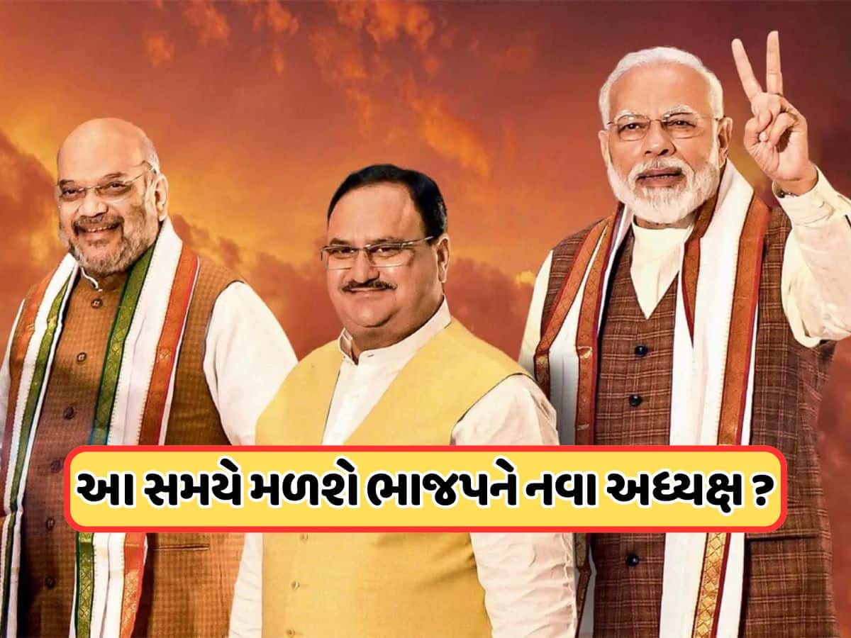BJP President: ક્યારે થશે ભાજપના નવા રાષ્ટ્રીય અધ્યક્ષની જાહેરાત ? અહીં ફસાયો છે મામલો 