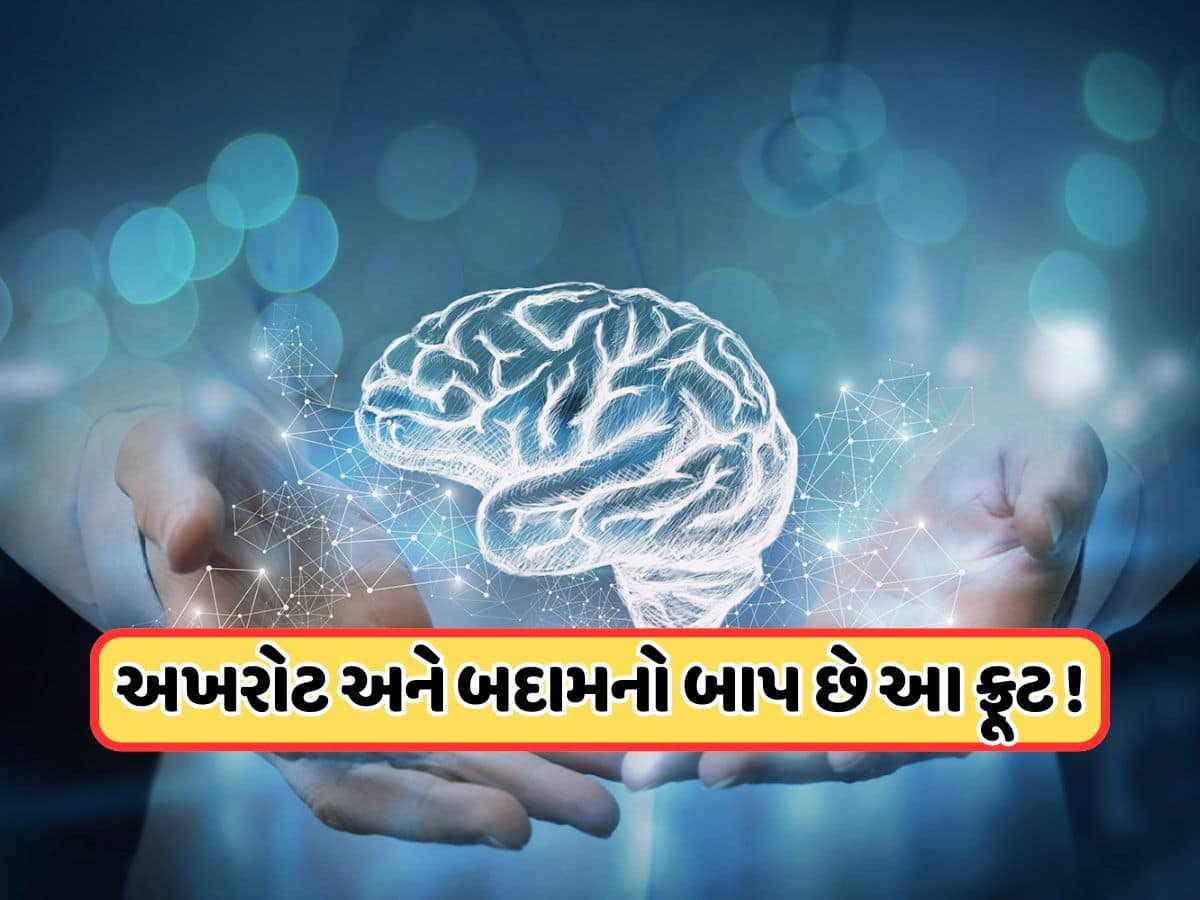 અખરોટ કે બદામ નહીં, આ ફળ મગજને બનાવે છે તેજ, ઘટાડે છે કેન્સરનું જોખમ !