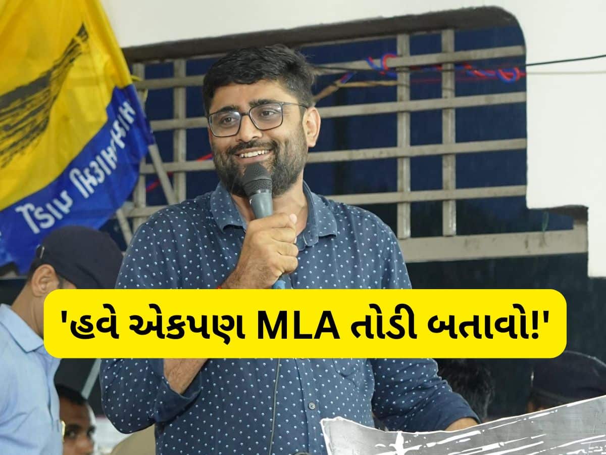 ઈટાલિયાનો પાટીલને ખુલ્લો પડકાર, અમારા એકપણ ધારાસભ્ય તોડીને બતાવો!