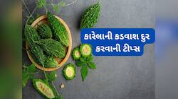 કારેલાની કડવાશ દુર કરવાની 5 ટીપ્સ, ફોલો કરશો તો કારેલાનું શાક કડવું નહીં લાગે