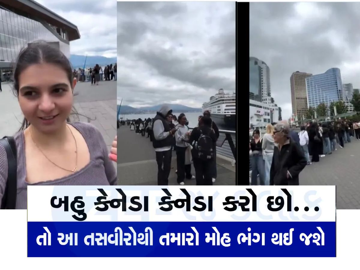 કેનેડામાં કેટલી બેરોજગારી છે એ જુઓ, યુવતીએ વીડિયો બનાવીને ખોલી કેનેડાની અસલી પોલ કેનેડામાં કેટલી બેરોજગારી છે એ જુઓ, યુવતીએ વીડિયો બનાવીને ખોલી કેનેડાની અસલી પોલ