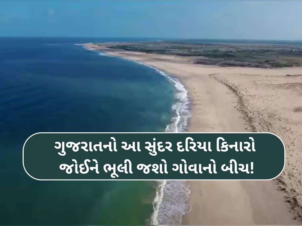 શિવરાજપુર બાદ ગુજરાતના આ દરિયા કિનારાને મળશે 'બ્લુ ફ્લેગ' દરજ્જો! સુંદરતા જોઈને ભૂલી જશો ગોવાનો બીચ!