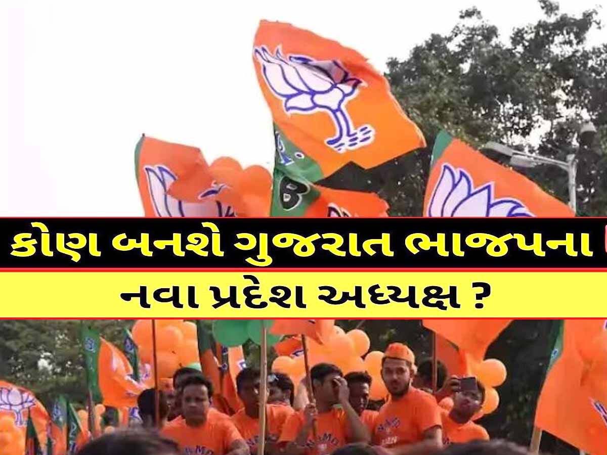 આતુરતાનો અંત...! 2 દિવસમાં BJP વિવિધ રાજ્યોમાં 9 પ્રદેશ પ્રમુખની નિમણૂંક કરશે, જાણો ગુજરાતમાં ક્યારે? આતુરતાનો અંત...! 2 દિવસમાં BJP વિવિધ રાજ્યોમાં 9 પ્રદેશ પ્રમુખની નિમણૂંક કરશે, જાણો ગુજરાતમાં ક્યારે?