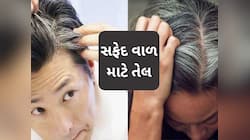 30 વર્ષની ઉંમરમાં સફેદ થવા લાગ્યા છે તમારા વાળ? તો આજથી લગાવવાનું શરૂ કરો આ તેલ