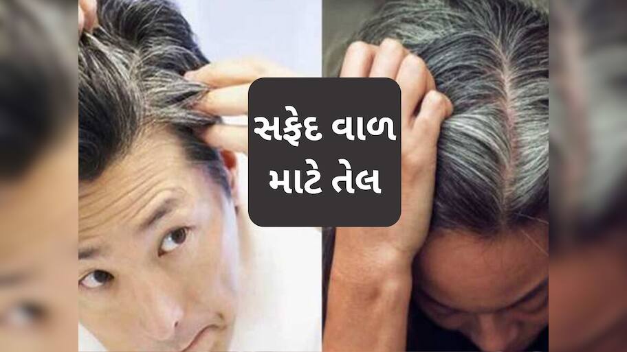   30 વર્ષની ઉંમરમાં સફેદ થવા લાગ્યા છે તમારા વાળ? તો આજથી લગાવવાનું શરૂ કરો આ અસરકારક તેલ