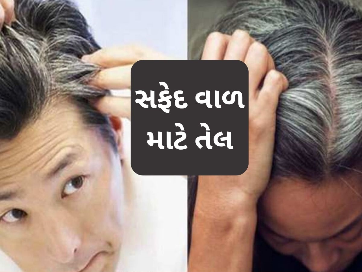 30 વર્ષની ઉંમરમાં સફેદ થવા લાગ્યા છે તમારા વાળ? તો આજથી લગાવવાનું શરૂ કરો આ અસરકારક તેલ 30 વર્ષની ઉંમરમાં સફેદ થવા લાગ્યા છે તમારા વાળ? તો આજથી લગાવવાનું શરૂ કરો આ અસરકારક તેલ