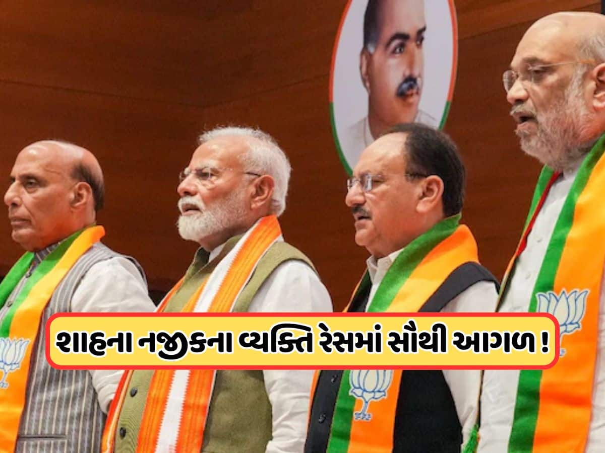 ભાજપના અધ્યક્ષની થઈ શકે છે જાહેરાત, આ ત્રણ નેતાઓ રેસમાં સૌથી આગળ !