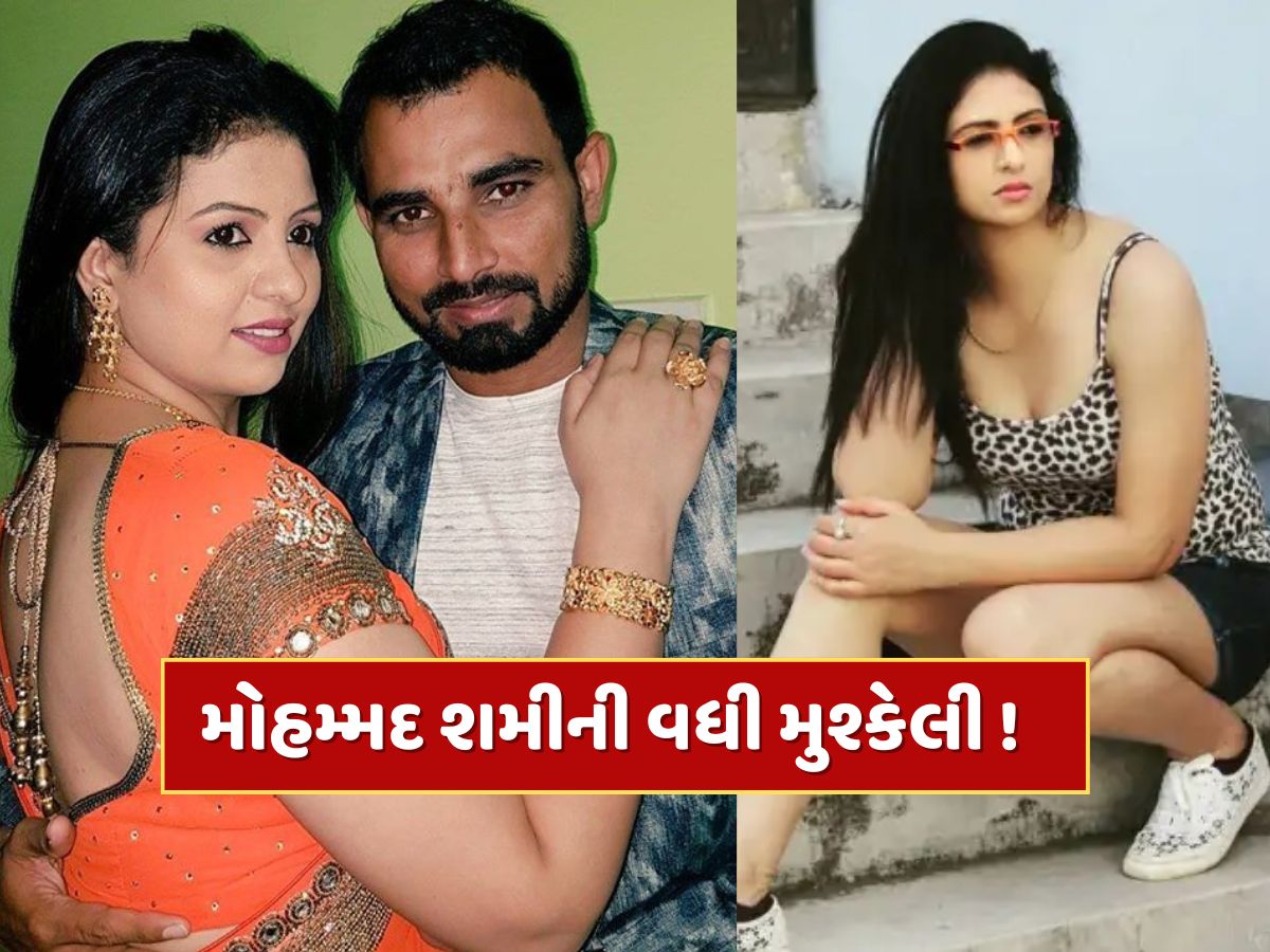 મોહમ્મદ શમીને લાગ્યો મોટો ઝટકો, પૂર્વ પત્ની હસીન જહાંને દર મહિને ભરણપોષણ પેટે ચૂકવવા પડશે લાખો રૂપિયા મોહમ્મદ શમીને લાગ્યો મોટો ઝટકો, પૂર્વ પત્ની હસીન જહાંને દર મહિને ભરણપોષણ પેટે ચૂકવવા પડશે લાખો રૂપિયા