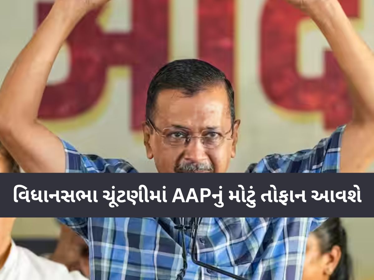 ગુજરાતમાં BJP માટે પડકાર બનશે કેજરીવાલ? AAPએ ભર્યું મોટું કદમ, કહ્યું- 'હું કાર્યકર્તાઓને...' ગુજરાતમાં BJP માટે પડકાર બનશે કેજરીવાલ? AAPએ ભર્યું મોટું કદમ, કહ્યું- 'હું કાર્યકર્તાઓને...'