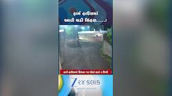 ગીર સોમનાથના પાતાપુર ગામે ફાર્મ હાઉસમાં સિંહણે દેખા દીધા, ત્યાં હાજર લોકોમાં ફફડાટ