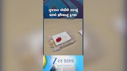 કચ્છ ગાંધીધામ પોલીસને મળી મોટી સફળતા,અર્બુદા હોટલમાંથી 17 લાખ 21 હજારનું ડ્રગ્સ જપ્ત