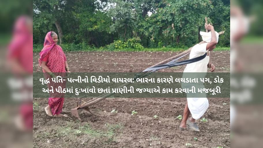 હાય રે ગરીબી! બળદ ન પોસાતો હોવાથી વૃદ્ધ ખેડૂત જાતે હળ સાથે જોતરાયો, રોવડાવી દેશે આ કહાની!