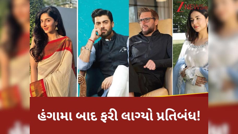 Pakistani Social Media Ban: કાલે હટ્યો હતો પ્રતિબંધ, આજે ફરીથી પાકિસ્તાનના અનેક સોશિયલ મીડિયા એકાઉન્ટ બ્લોક