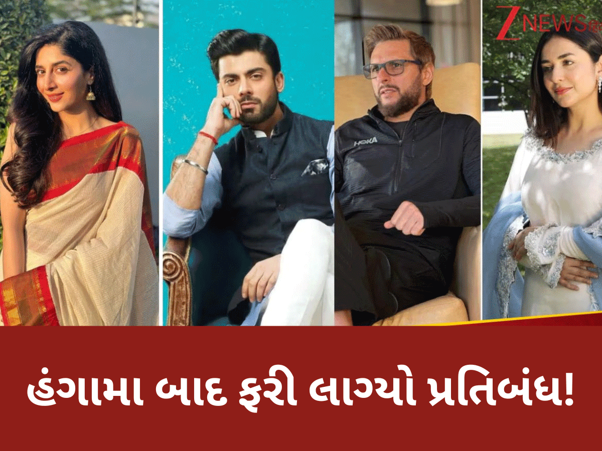 Pakistani Social Media Ban: કાલે હટ્યો હતો પ્રતિબંધ, આજે ફરીથી પાકિસ્તાનના અનેક સોશિયલ મીડિયા એકાઉન્ટ બ્લોક Pakistani Social Media Ban: કાલે હટ્યો હતો પ્રતિબંધ, આજે ફરીથી પાકિસ્તાનના અનેક સોશિયલ મીડિયા એકાઉન્ટ બ્લોક