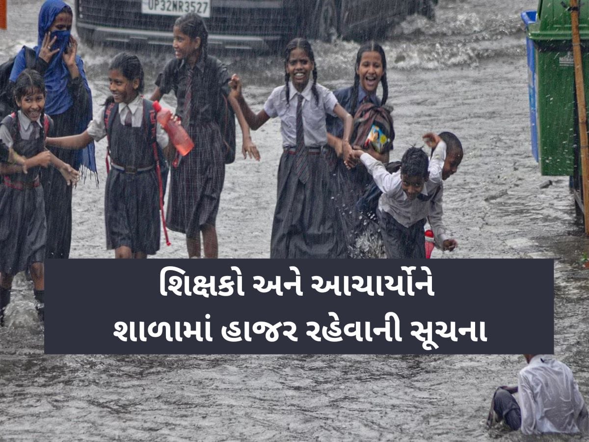 ભારે વરસાદના કારણે ગુજરાતના આ 2 જિલ્લાની શાળાઓમાં રજા જાહેર; બારેમેઘ ખાંગાની સ્થિતિ!