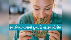 માથું દુખતું હોય ત્યારે સુંઘો આ 5 માંથી કોઈ 1 છોડના પાન, સુગંધથી દુખાવામાં થશે રાહત