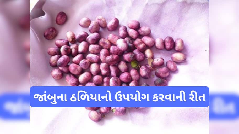 Jamun Seeds: જાંબુ કરતાં વધારે ફાયદો કરે તેના ઠળિયા, શુગર-પથરીમાં આ રીતે કરી શકો છો ઉપયોગ