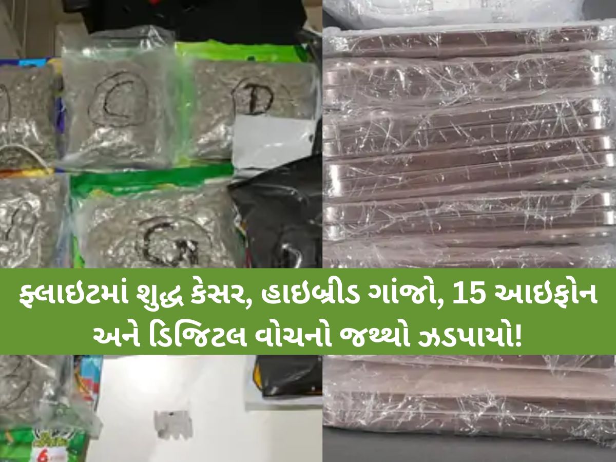 અબુધાબીથી આવેલી મહિલા મુસાફરે કર્યો મોટો કાંડ! 15 આઈફોન, કરોડોનો ગાંજો સહિત આ વસ્તુઓ ઝડપાઈ અબુધાબીથી આવેલી મહિલા મુસાફરે કર્યો મોટો કાંડ! 15 આઈફોન, કરોડોનો ગાંજો સહિત આ વસ્તુઓ ઝડપાઈ