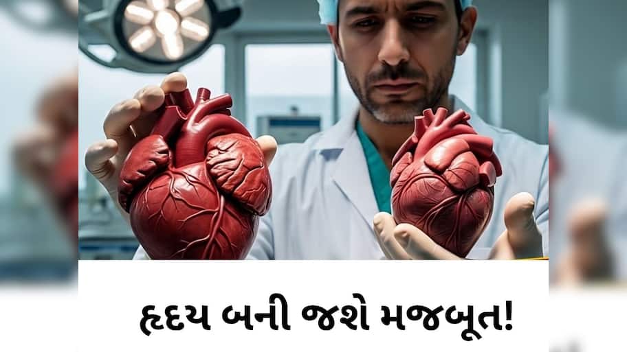 આ પાંચ કામ કરવાથી તમને ક્યારેય નહીં આવે હાર્ટ એટેક, તમે પણ જલ્દી જાણી લો