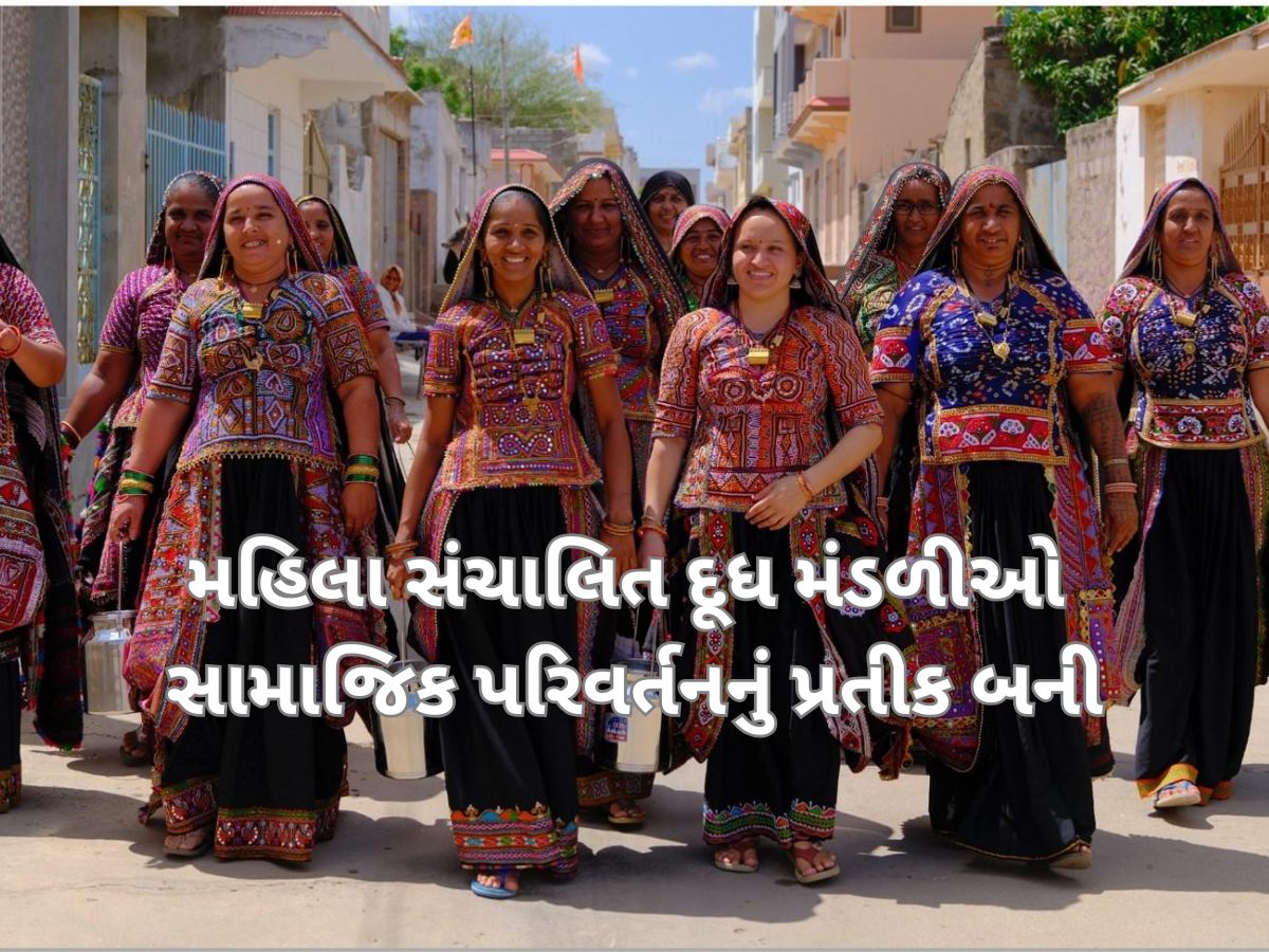 સફેદ ક્રાંતિ બાદ ગુજરાતની મહિલાઓનું નસીબ પલટાયું, ખરા અર્થમાં બની આત્મનિર્ભર સફેદ ક્રાંતિ બાદ ગુજરાતની મહિલાઓનું નસીબ પલટાયું, ખરા અર્થમાં બની આત્મનિર્ભર