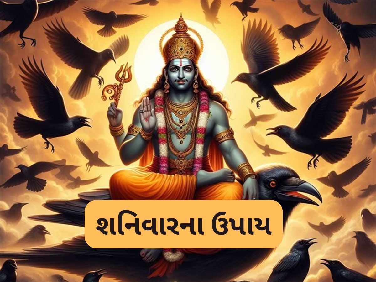 Shaniwar Upay: શનિવારે કરી જુઓ આ 4 કામ, જીવનમાંથી ગરીબી અને સમસ્યાઓ શનિદેવ દુર ન કરે તો કહેજો Shaniwar Upay: શનિવારે કરી જુઓ આ 4 કામ, જીવનમાંથી ગરીબી અને સમસ્યાઓ શનિદેવ દુર ન કરે તો કહેજો