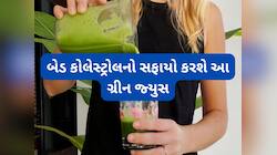 લીલા શાકભાજીથી બનેલા ગ્રીન જ્યુસથી ઘટશે હાઈ કોલેસ્ટ્રોલ, સ્વાદ પણ હોય છે ભાવે એવો