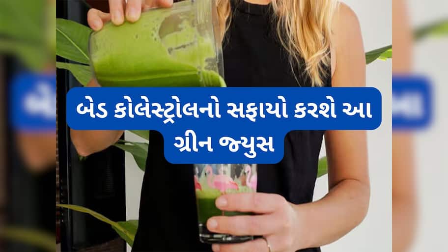Bad Cholesterol: લીલા શાકભાજીથી બનેલા ગ્રીન જ્યુસથી ઘટશે હાઈ કોલેસ્ટ્રોલ, સ્વાદ પણ હોય છે ભાવે એવો