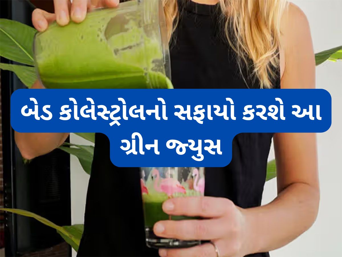 Bad Cholesterol: લીલા શાકભાજીથી બનેલા ગ્રીન જ્યુસથી ઘટશે હાઈ કોલેસ્ટ્રોલ, સ્વાદ પણ હોય છે ભાવે એવો Bad Cholesterol: લીલા શાકભાજીથી બનેલા ગ્રીન જ્યુસથી ઘટશે હાઈ કોલેસ્ટ્રોલ, સ્વાદ પણ હોય છે ભાવે એવો
