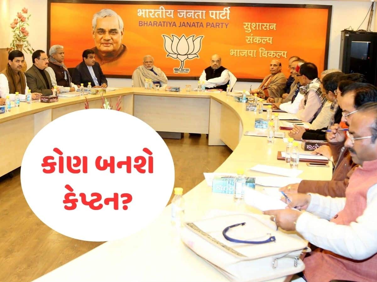 3 મહિલા, 3 પુરૂષ; ભાજપના રાષ્ટ્રીય અધ્યક્ષ બનવાની રેસમાં કોની દાવેદારી મજબૂત