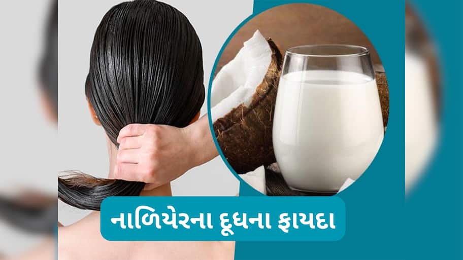 Coconut Milk For Hair: બેજાન વાળ માટે સંજીવની છે નાળિયેરનું દૂધ, ઘરે આ રીતે રેડી કરી વાળમાં લગાડો
