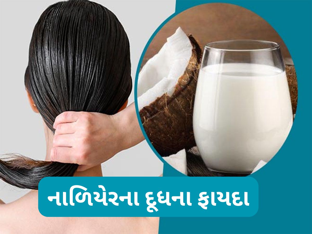 Coconut Milk For Hair: બેજાન વાળ માટે સંજીવની છે નાળિયેરનું દૂધ, ઘરે આ રીતે રેડી કરી વાળમાં લગાડો Coconut Milk For Hair: બેજાન વાળ માટે સંજીવની છે નાળિયેરનું દૂધ, ઘરે આ રીતે રેડી કરી વાળમાં લગાડો