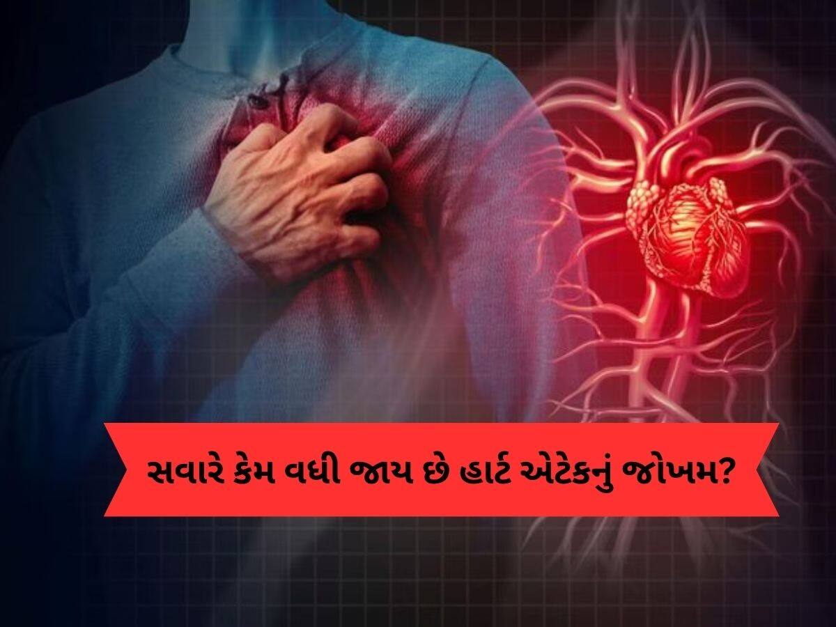 સવાર-સવારમાં કેમ વધી જાય છે હાર્ટ એટેકનું જોખમ? જાણો તેની પાછળનું વિજ્ઞાન