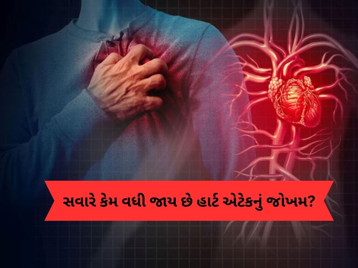 સવાર-સવારમાં કેમ વધી જાય છે હાર્ટ એટેકનું જોખમ? જાણો તેની પાછળનું વિજ્ઞાન