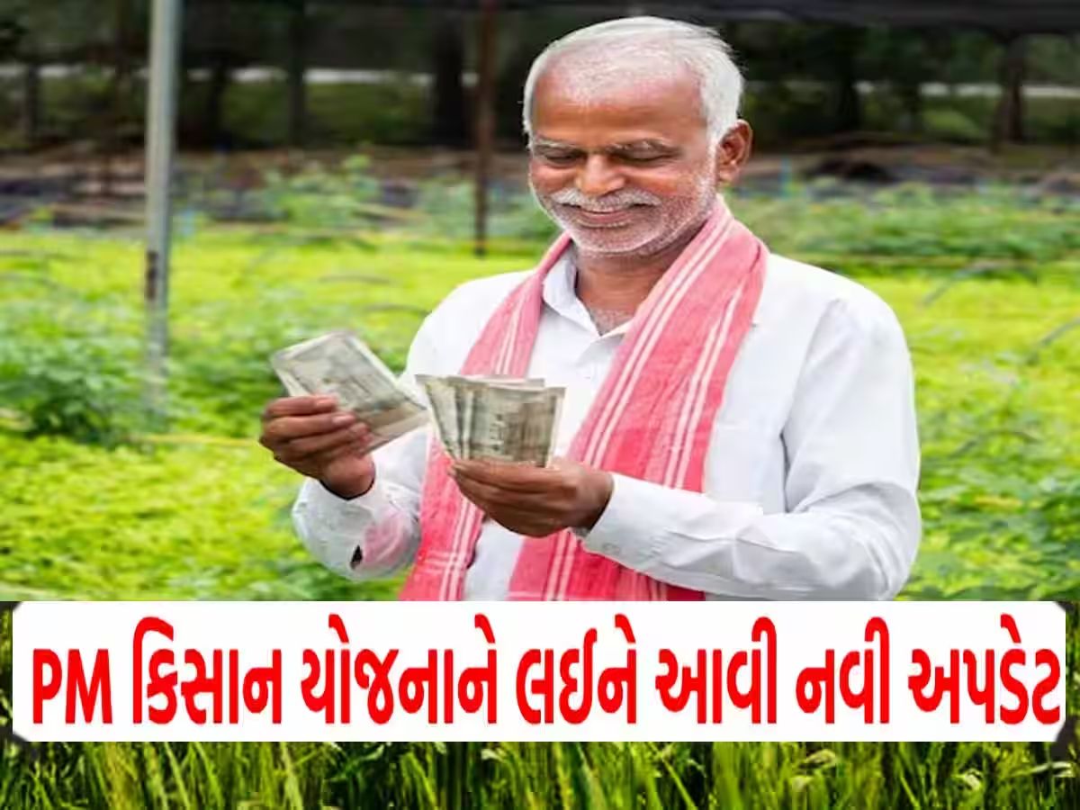 PM કિસાન યોજનાનો હપ્તો મેળવવો હોય તો ખેડૂતો પહેલા કરી લો આ કામ, નહિ તો રૂપિયા નહિ આવે PM કિસાન યોજનાનો હપ્તો મેળવવો હોય તો ખેડૂતો પહેલા કરી લો આ કામ, નહિ તો રૂપિયા નહિ આવે