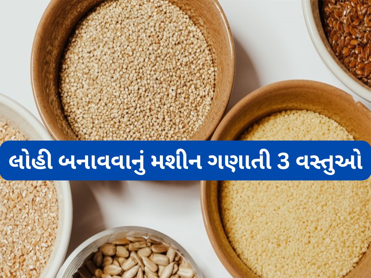 Iron Rich Food: આયરનની ખામી દુર કરવા ખાવા લાગો આ 3 વસ્તુઓ, શરીરમાં ડબલ સ્પીડમાં વધશે લોહી