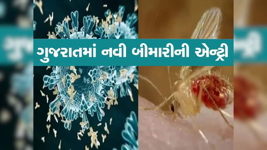  ગુજરાતમાં ફેલાયો મોતનો વાયરસ! 8 બાળકોના મોત, 15 દાખલ, જાણો શું છે લક્ષણ અને બચવાના ઉપાયો?