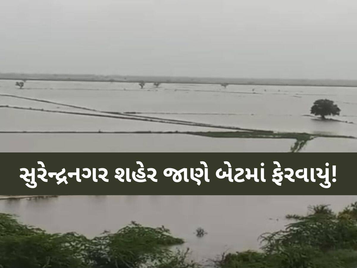 અતિભારે વરસાદ વરસતા સુરેન્દ્રનગર બેટમાં ફેરવાયું! આ વિસ્તારો પાણીમાં ગરકાવ, ઘરની બહાર નીકળવું મુશ્કેલ