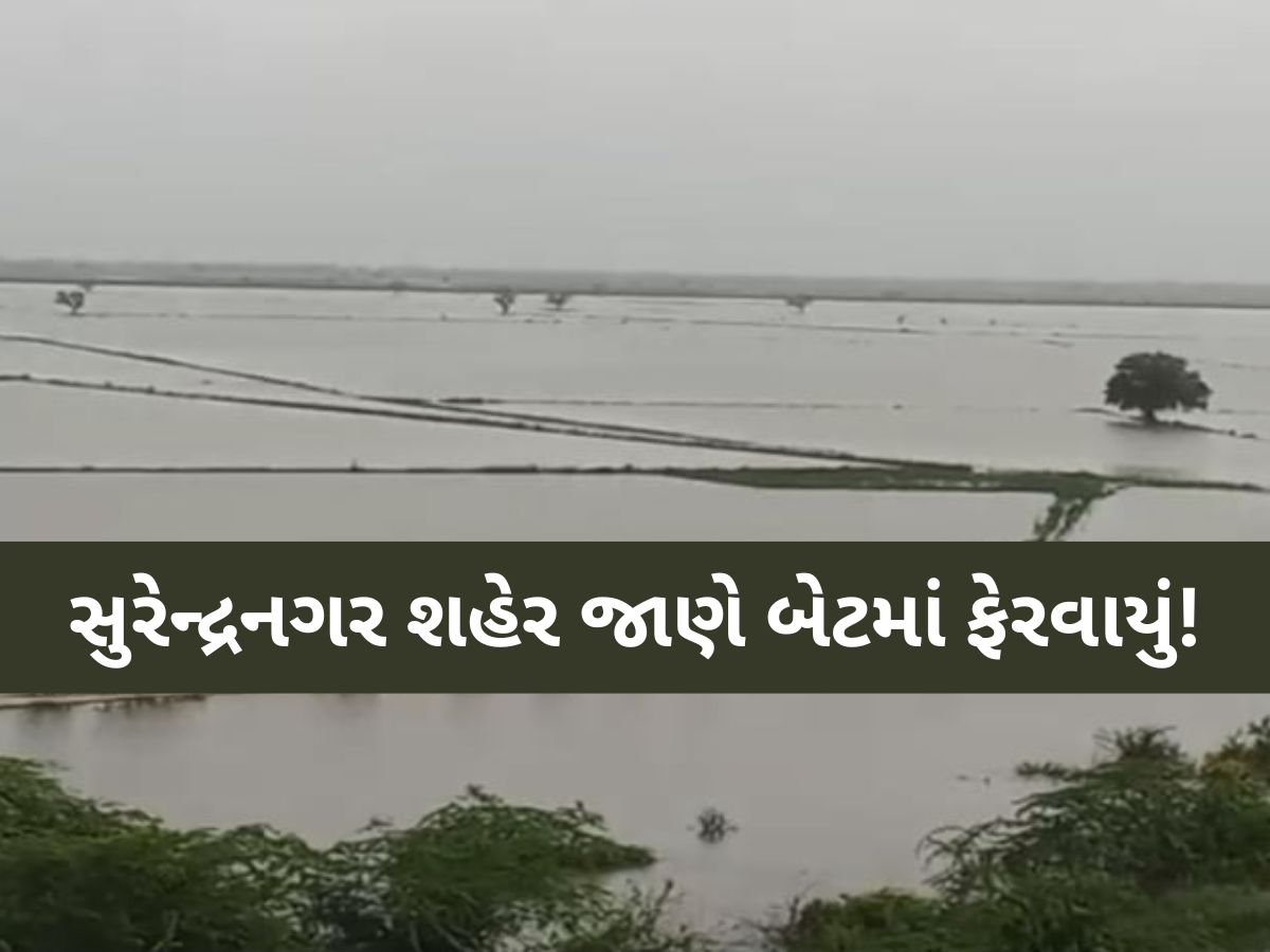 અતિભારે વરસાદ વરસતા સુરેન્દ્રનગર બેટમાં ફેરવાયું! આ વિસ્તારો પાણીમાં ગરકાવ, ઘરની બહાર નીકળવું મુશ્કેલ અતિભારે વરસાદ વરસતા સુરેન્દ્રનગર બેટમાં ફેરવાયું! આ વિસ્તારો પાણીમાં ગરકાવ, ઘરની બહાર નીકળવું મુશ્કેલ