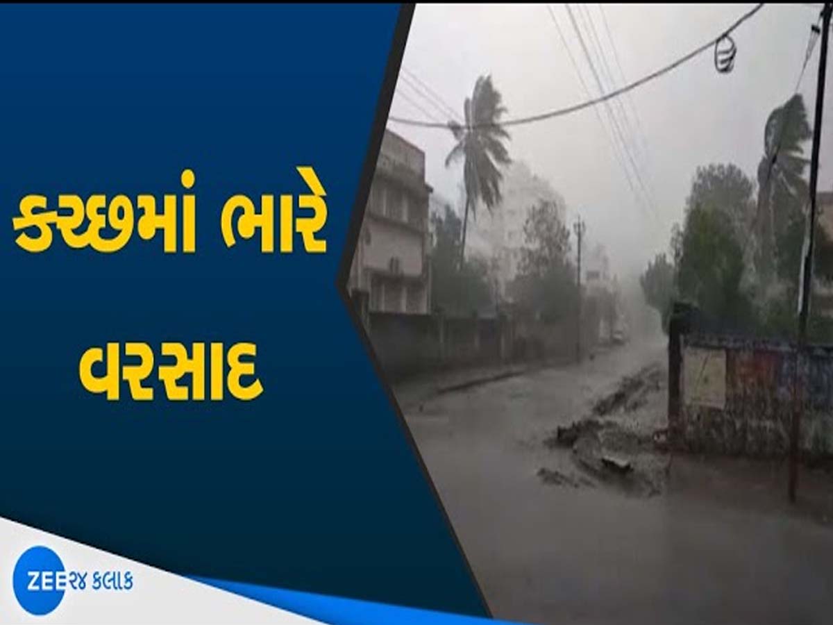 કચ્છમાં સાંબેલાધાર વરસાદ; આ વિસ્તારો જળમગ્ન, અનેક ગામનો સંપર્ક કપાયો, જાણો કેવી છે સ્થિતિ? કચ્છમાં સાંબેલાધાર વરસાદ; આ વિસ્તારો જળમગ્ન, અનેક ગામનો સંપર્ક કપાયો, જાણો કેવી છે સ્થિતિ?