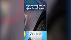 પ્રવાસીઓથી ધમધમતા ડાંગમાં દીપડાના આંટાફેરા, વઘઇથી સાપુતારા માર્ગ પરનો વીડિયો વાયરલ
