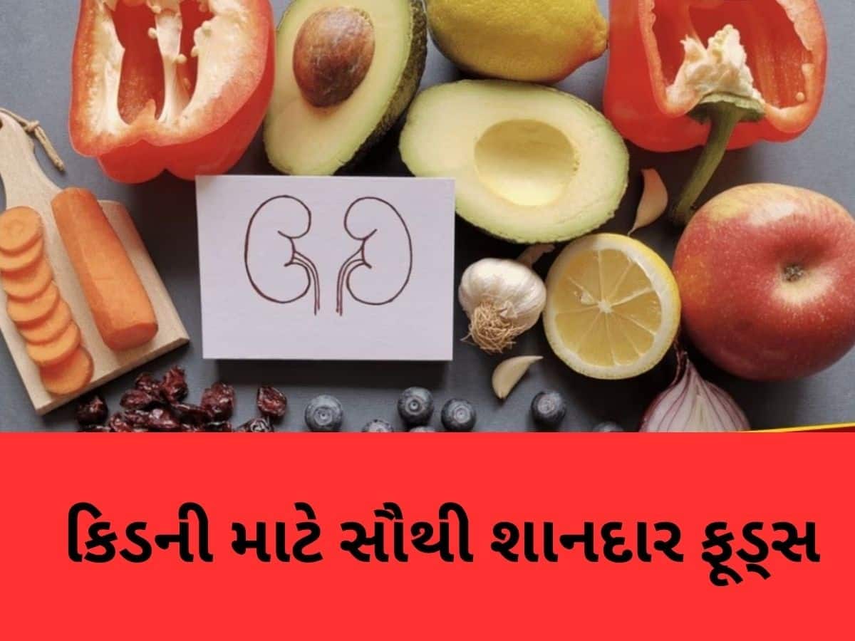 કિડનીના 'બેસ્ટ ફ્રેન્ડ' કહેવાય છે આ 5 ફૂડ્સ, તમે પણ તમારા ડાયટમાં કરો સામેલ, મળશે જોરદાર ફાયદા