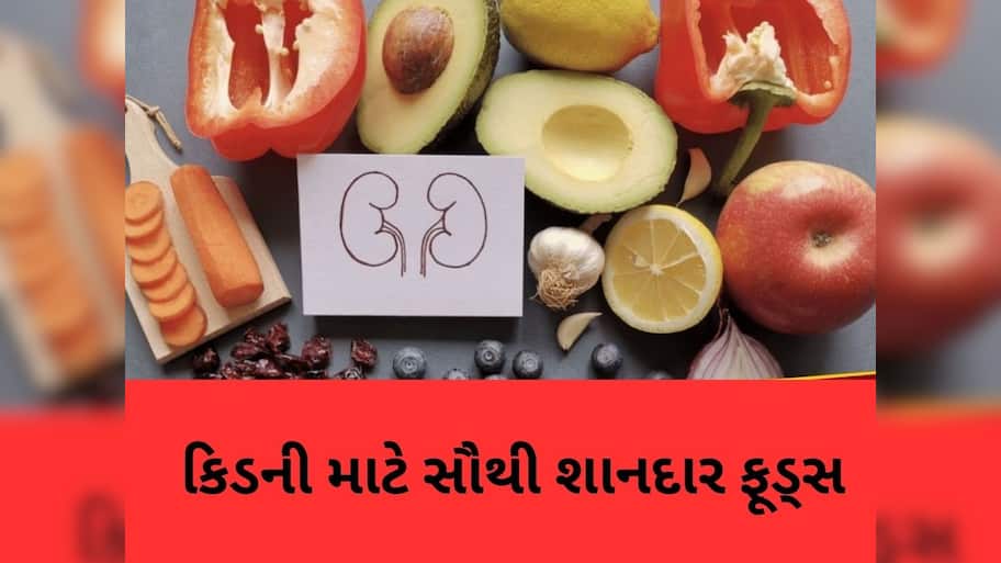 કિડનીના 'બેસ્ટ ફ્રેન્ડ' કહેવાય છે આ 5 ફૂડ્સ, તમે પણ તમારા ડાયટમાં કરો સામેલ, મળશે જોરદાર ફાયદા