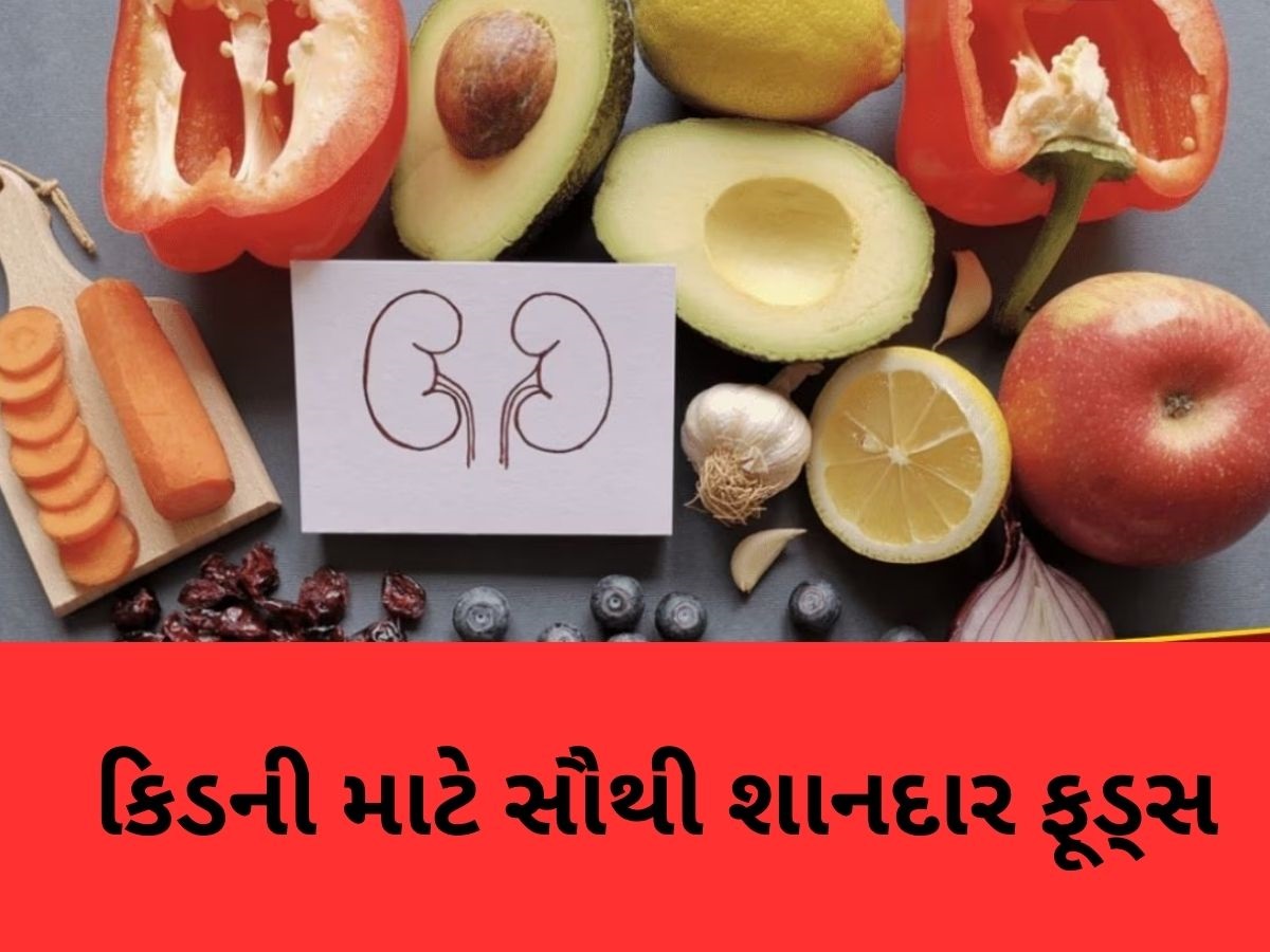 કિડનીના 'બેસ્ટ ફ્રેન્ડ' કહેવાય છે આ 5 ફૂડ્સ, તમે પણ તમારા ડાયટમાં કરો સામેલ, મળશે જોરદાર ફાયદા કિડનીના 'બેસ્ટ ફ્રેન્ડ' કહેવાય છે આ 5 ફૂડ્સ, તમે પણ તમારા ડાયટમાં કરો સામેલ, મળશે જોરદાર ફાયદા