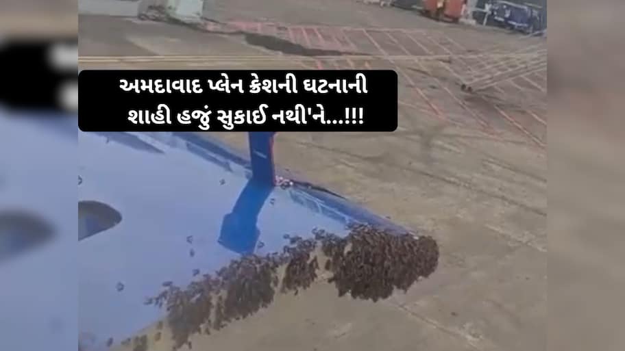 સુરત ઈન્ટરનેશનલ એરપોર્ટ પર વિચિત્ર ઘટના; મુસાફરોનો જીવ તાળવે ચોંટ્યો! ફ્લાઈટ એક કલાક મોડી