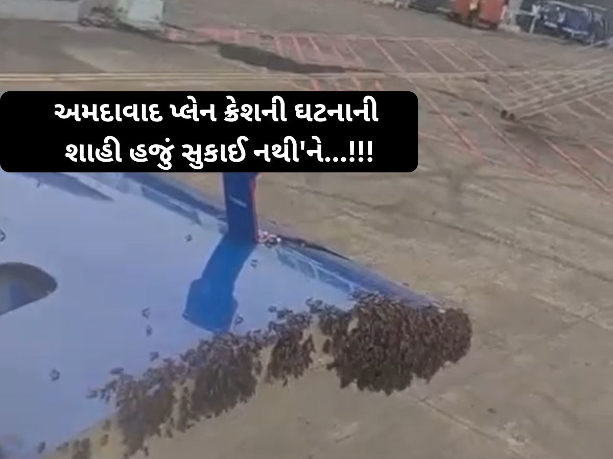 સુરત ઈન્ટરનેશનલ એરપોર્ટ પર વિચિત્ર ઘટના; મુસાફરોનો જીવ તાળવે ચોંટ્યો! ફ્લાઈટ એક કલાક મોડી સુરત ઈન્ટરનેશનલ એરપોર્ટ પર વિચિત્ર ઘટના; મુસાફરોનો જીવ તાળવે ચોંટ્યો! ફ્લાઈટ એક કલાક મોડી