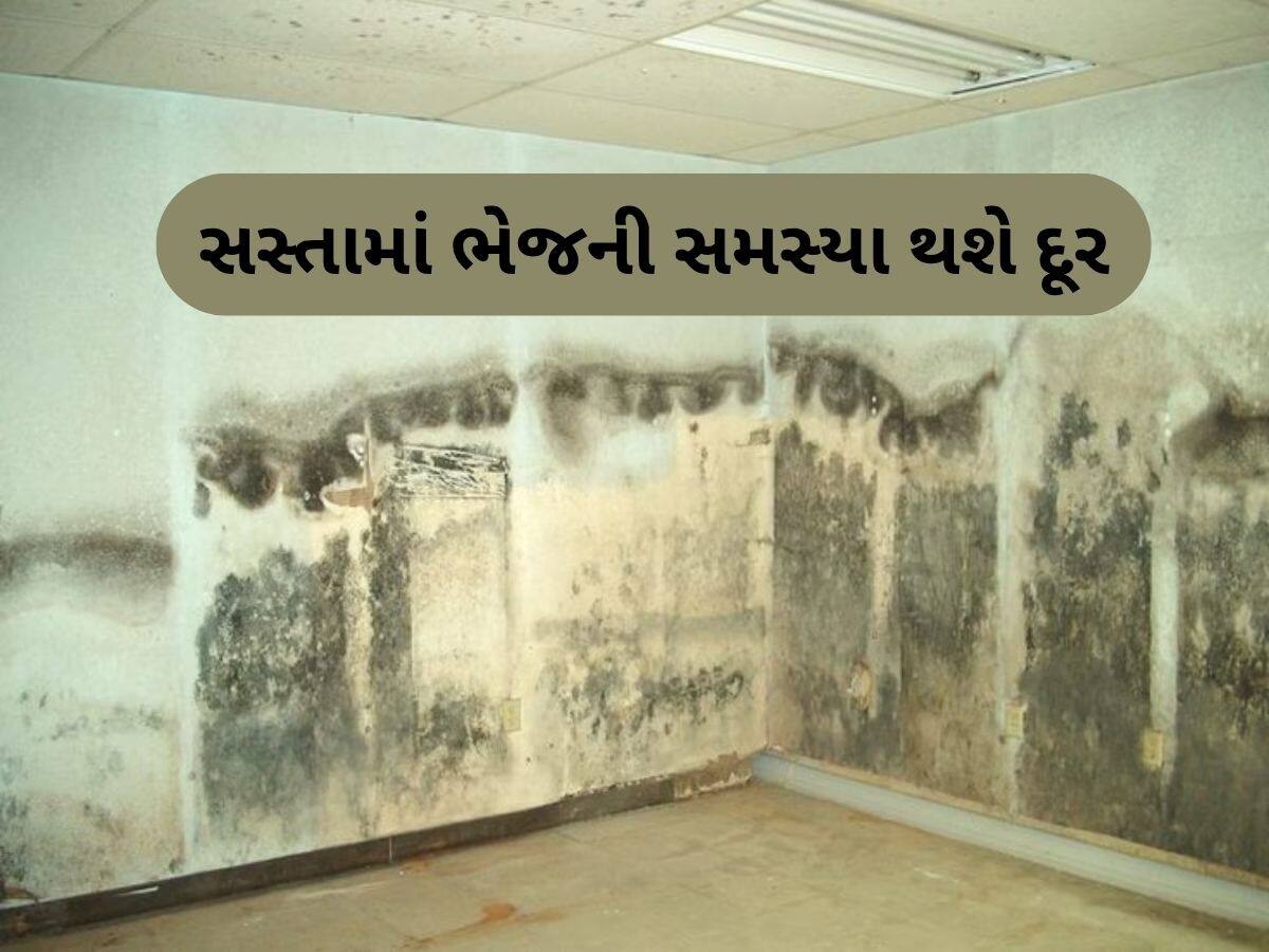  શું તમારા ઘરમાં પણ છે ભેજની સમસ્યા? માત્ર 10 રૂપિયામાં ખરીદી લો આ સફેદ પાઉડર, સસ્તી અને સરળ ટિપ્સ આવશે કામ