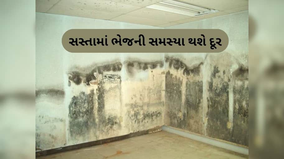  શું તમારા ઘરમાં પણ છે ભેજની સમસ્યા? માત્ર 10 રૂપિયામાં ખરીદી લો આ સફેદ પાઉડર, સસ્તી અને સરળ ટિપ્સ આવશે કામ